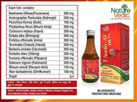 Nature Vedic Aveliv AV- DS Syrup |Ayurvedic liver Detoxer, Improve Digestion, Improve Alcoholic Liver Disorder  - 400 ml
